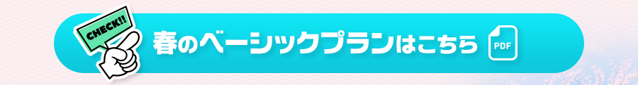 春のベーシックプランはこちら